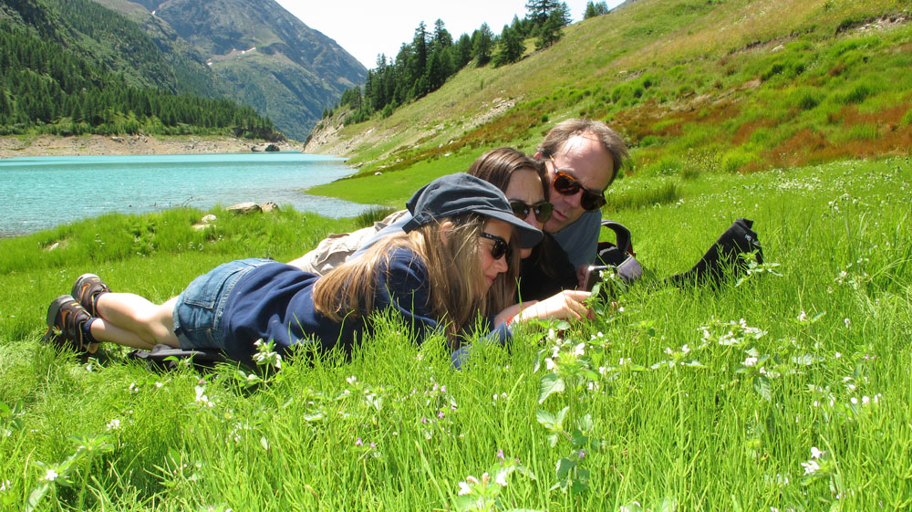 Itinerario di 4 giorni per scoprire la Valle d’Aosta a piedi